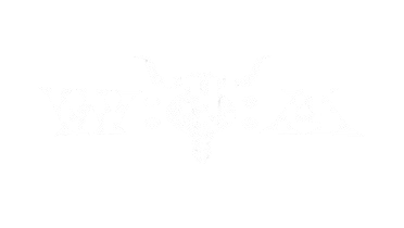 Get an impression of  Wacken